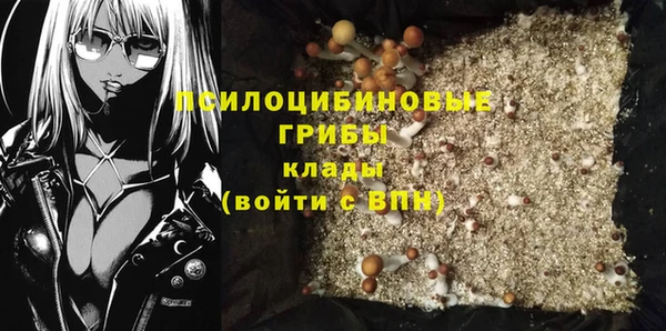 экстази Гусь-Хрустальный